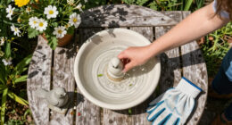 10 Best Bird Baths in 2026 — Guide to Choose the Perfect One