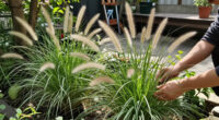 10 Best Easy-to-Grow Ornamental Grasses That Add A Professional Polish To Your Backyard