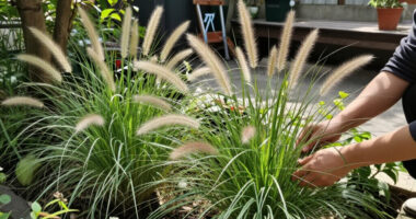 10 Best Easy-to-Grow Ornamental Grasses That Add A Professional Polish To Your Backyard