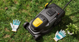 11 Best Lawn Mowers in 2026