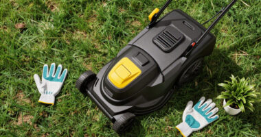 11 Best Lawn Mowers in 2026