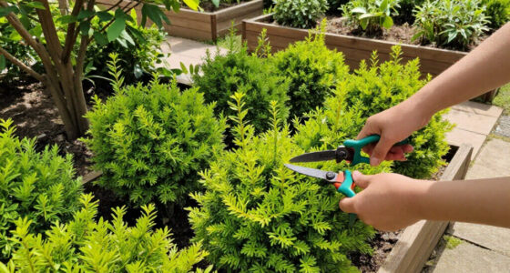 12 Best Fast-Growing Shrubs in 2026