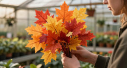 12 Best Faux Fall Foliage in 2026