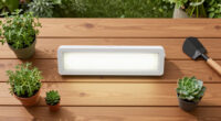 13 Best Grow Lights for Indoor Gardening in 2026