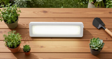 13 Best Grow Lights for Indoor Gardening in 2026
