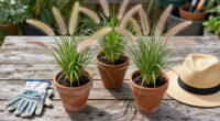 13 Best Ornamental Grasses in 2026