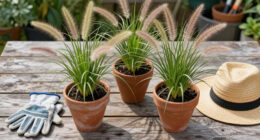 13 Best Ornamental Grasses in 2026