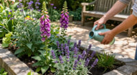 13 Best Perennial Garden Plants in 2026