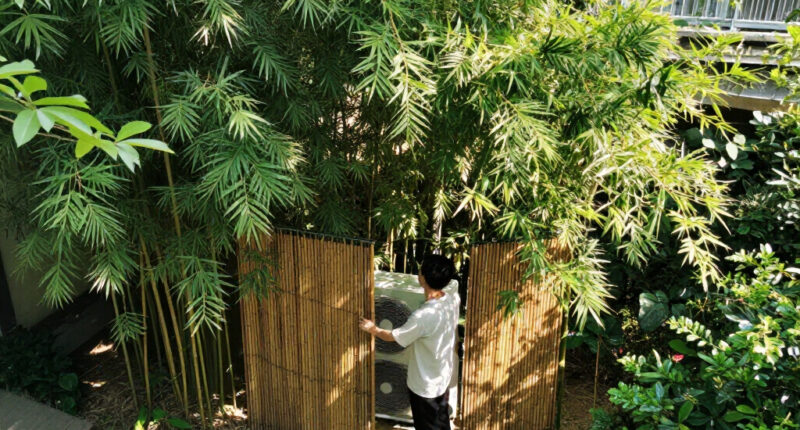 6 Best Plants for Hiding AC Units in 2026