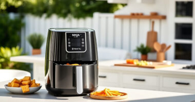 Summer Sizzle: Ninja Air Fryer XL for Perfect Outdoor Meals