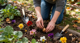 11 Best Fall Flower Bulbs in 2026
