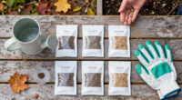 13 Best Flower Seeds for Fall Sowing in 2026