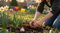 13 Best Spring Flowering Bulbs in 2026