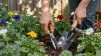 15 Best Gardening Tools in 2026