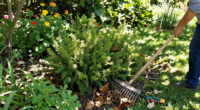 15 Best Lawn And Garden Tools In 2026