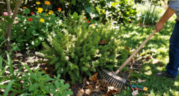 15 Best Lawn And Garden Tools In 2026