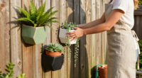 15 Best Wall Planters for Green Walls and Vertical Gardens in 2026