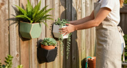 15 Best Wall Planters for Green Walls and Vertical Gardens in 2026