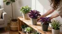 6 Purple Houseplants That Add Instant Drama To Your Home – And They're Low Maintenance, Too!