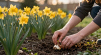 9 Best Fragrant Daffodil Bulbs in 2026