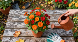 Every Garden Needs One Autumn Plant Bees & Butterflies Can’t Resist – Grow These 5 Pollinator Magnets For An Unforgettable Fall Feast