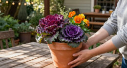 Fill Patio Pots With Vibrant Plants That Last From Fall Into Winter For A Wonderfully Colorful Cool-Season Display