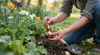 Garden Mythbusters: Does The Pointy End Of A Bulb Really Need To Face Up When You Plant It?