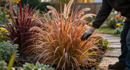 Just As Other Plants Start To Fade, These 6 Ornamental Grasses Hit Their Stride
