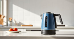 Ninja KT200BL Precision Temperature Kettle: Perfect for Summer Tea Time