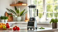 Ninja Professional Blender: Summer Smoothies Made Easy