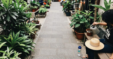 On A Road Less Than 3Km Long, Hanoi Has 3 Prominent Green Spaces - Laodong.vn