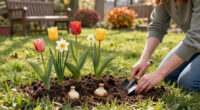 Plant These $1 Bulbs In Your Lawn Now For Drifts Of Pretty Fall Flowers