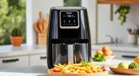 Summer Care & Troubleshooting for the Ninja Foodi 10 Quart Air Fryer