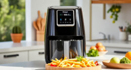Summer Care & Troubleshooting for the Ninja Foodi 10 Quart Air Fryer