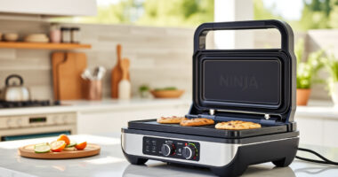 Summer Care & Troubleshooting for the Ninja Foodi Pro 5-in-1 Indoor Grill