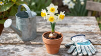 This Daffodil Is Quietly Replacing Classic Yellow Varieties – It’s Fragrant, Long-Lived, And Hardy