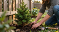 Want More Privacy Next Year? Plant These 6 Beautiful Hedges This Fall For Natural Screening From Prying Eyes