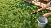 Why Your Lawn Is Full Of Crabgrass And How To Stop It From Taking Over The Whole Yard