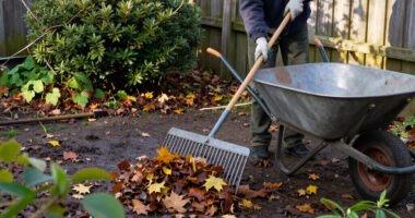 11 Best Garden Cleanup Tools for Faster Yard Work in 2027