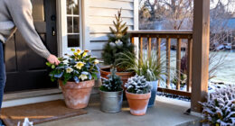 14 Best Frost-Hardy Porch Plants for 2027