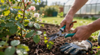 14 Best Garden Pruning Shears for Cleaner, Easier Cuts in 2027