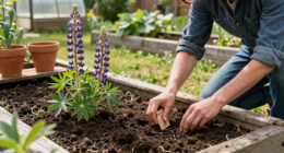 14 Best Lupine Seeds for Colorful, Pollinator-Friendly Gardens in 2027