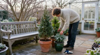 14 Best Winter-Hardy Potted Plants for 2027
