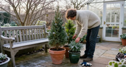 14 Best Winter-Hardy Potted Plants for 2027