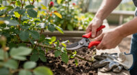 15 Best Garden Pruners for Everyday Garden Care in 2027