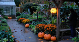 15 Best Halloween Garden Decorations for Spooky Outdoor Displays in 2027