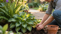 3 Best Shade Garden Plants in 2027