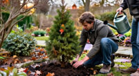 5 Evergreen Shrubs To Plant In October – The Best Varieties For Gorgeous Winter Berries And Foliage