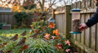 5 Ways To Support Birds In October To Help Robins, Finches And Songbirds Thrive, According To Experts