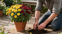 7 Best Garden Mums for Vibrant Fall Displays in 2027